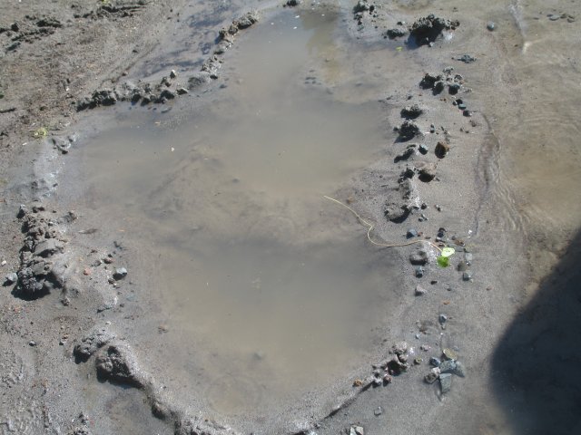 8.26-27.06 Twin Lakes & Palmateer Point 180 